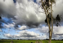 米兰体育app-p惈1-米兰体育app